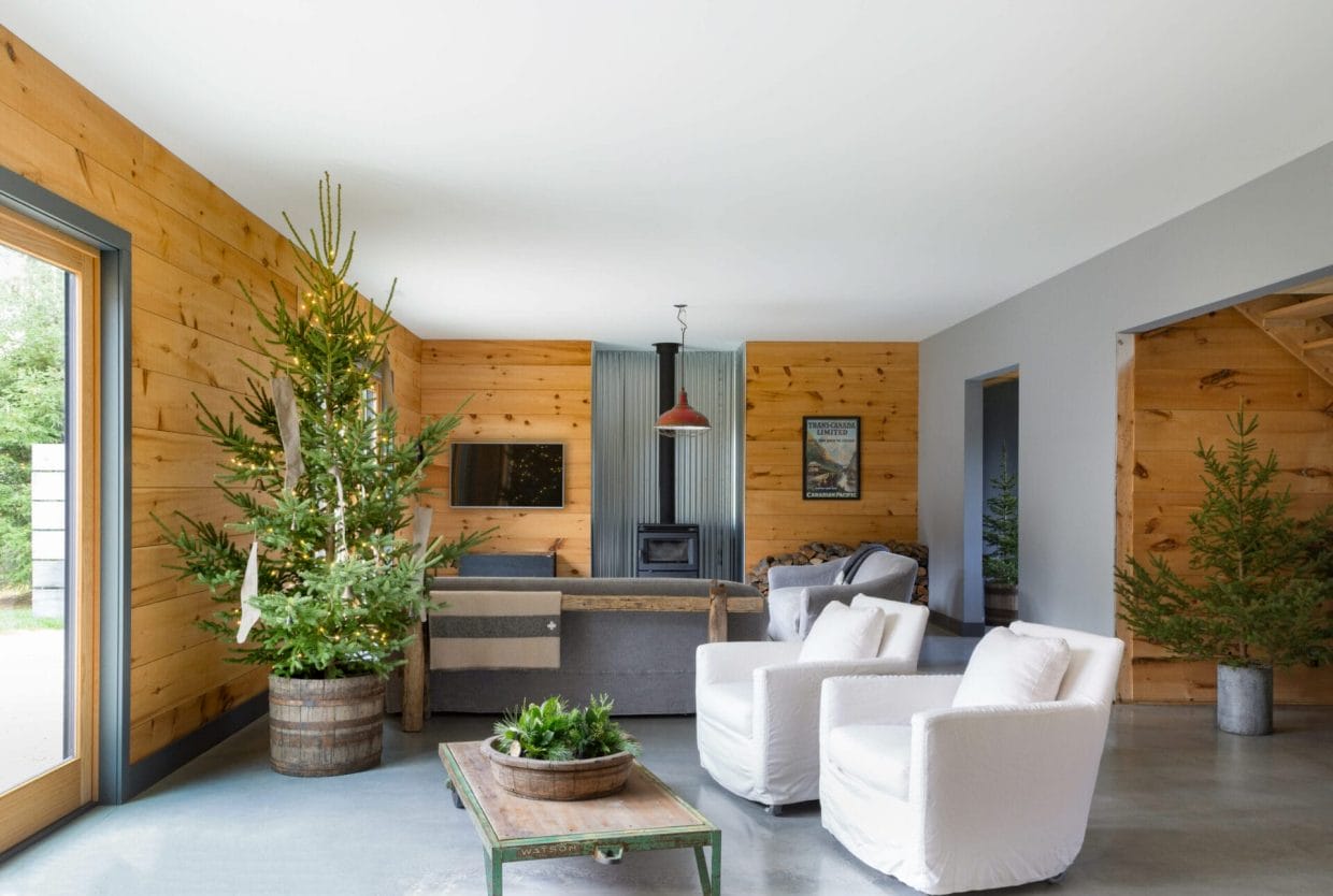 How To Plant a Living Christmas Tree After the Holidays