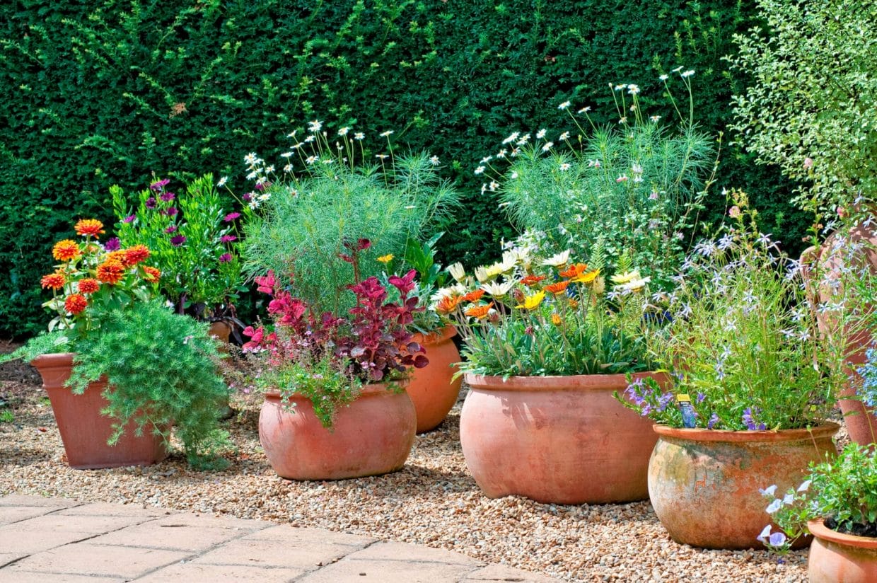 How To Clean Up Your Yard for Spring