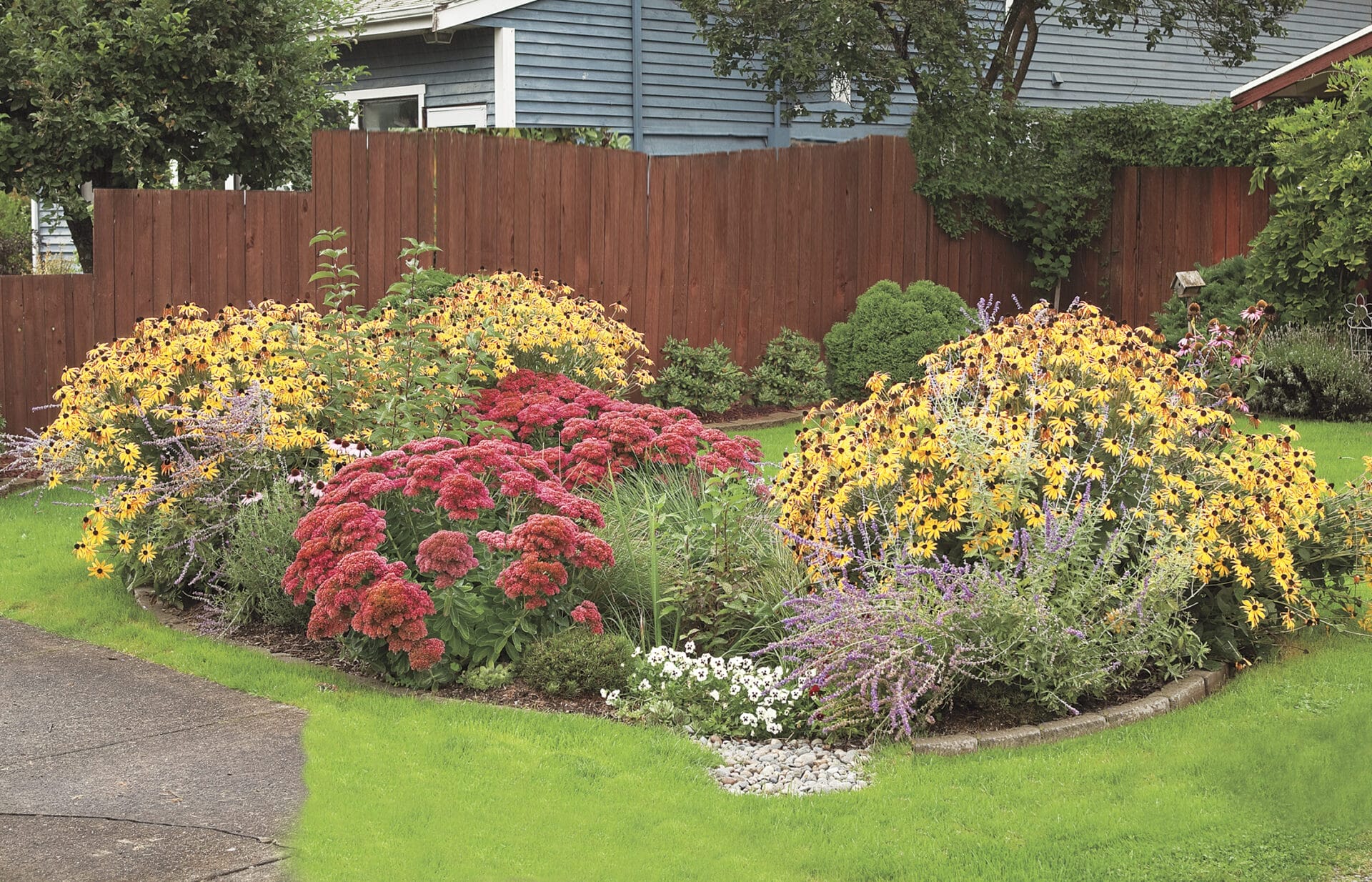 How to Build a Rain Garden to Filter Runoff