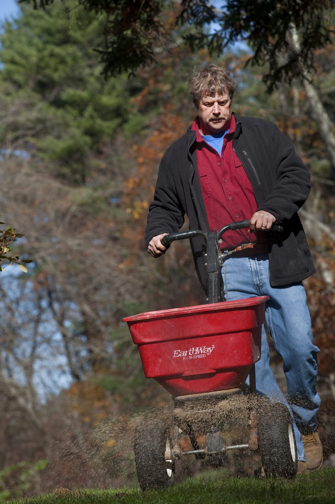 Winter Lawn Prep: A Comprehensive Guide