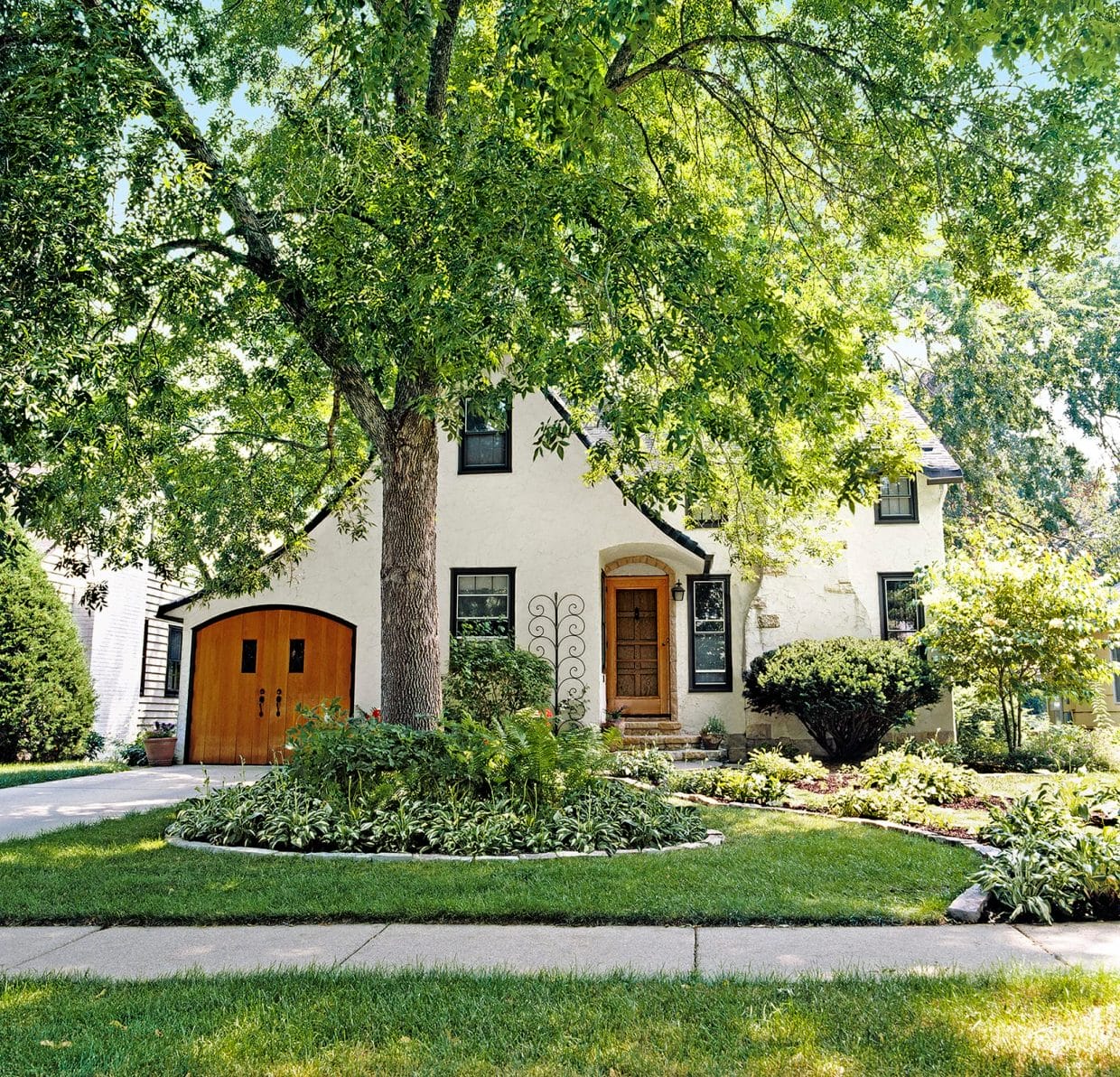 All About Shade Trees: A Comprehensive Guide