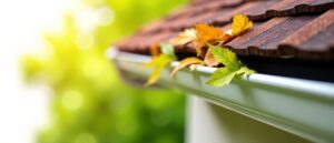 White gutter filled with leaves on a house.