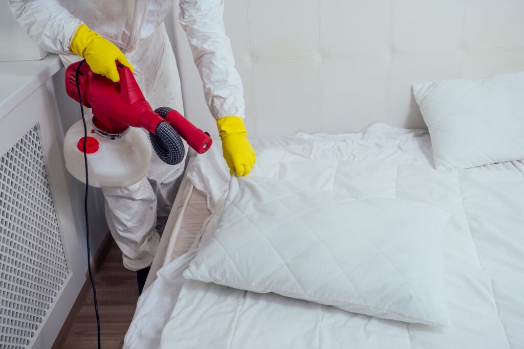 How Much Does a Bed Bug Exterminator Cost?