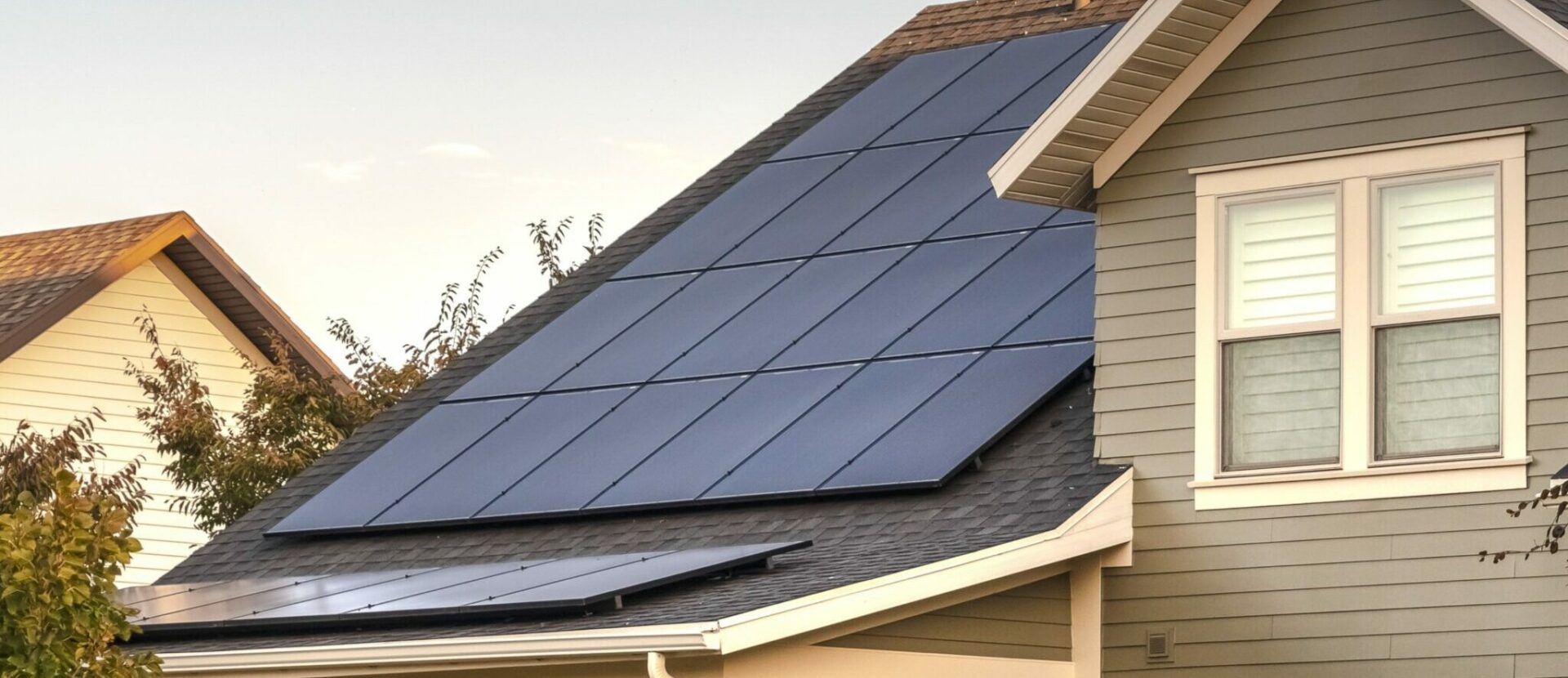 Palmetto Solar Review