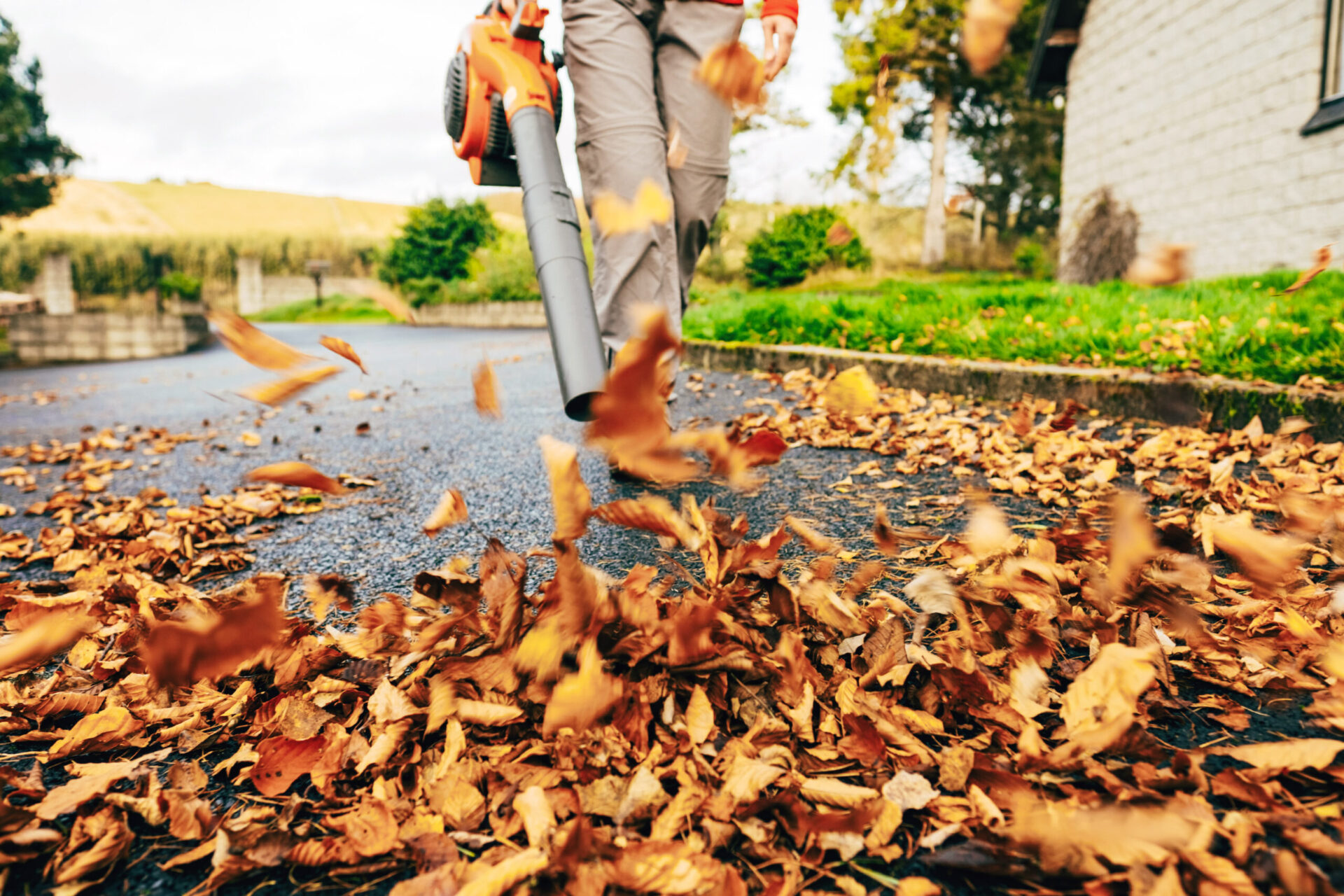 5 Best Leaf Blowers