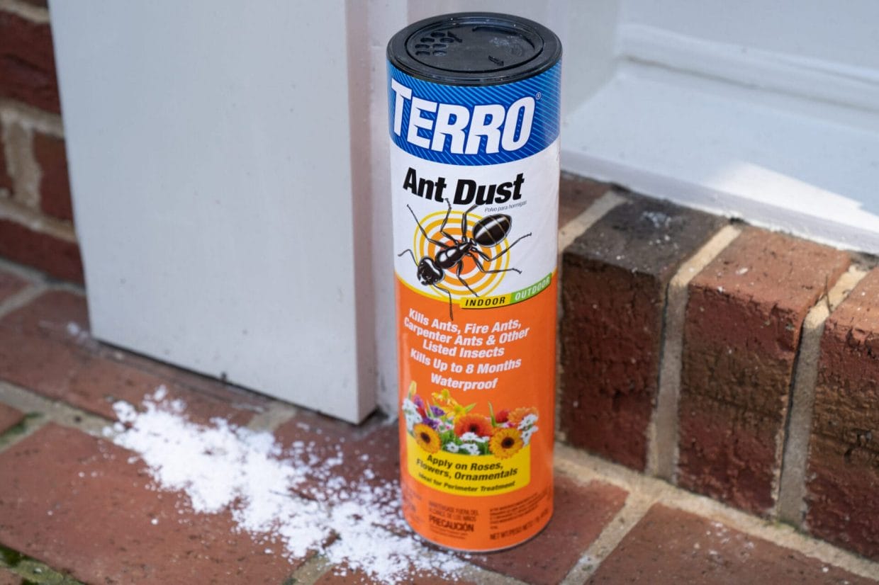 Our 8 Best Ant Killer Picks