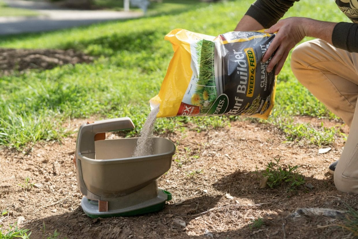 The 5 Best Fertilizers
