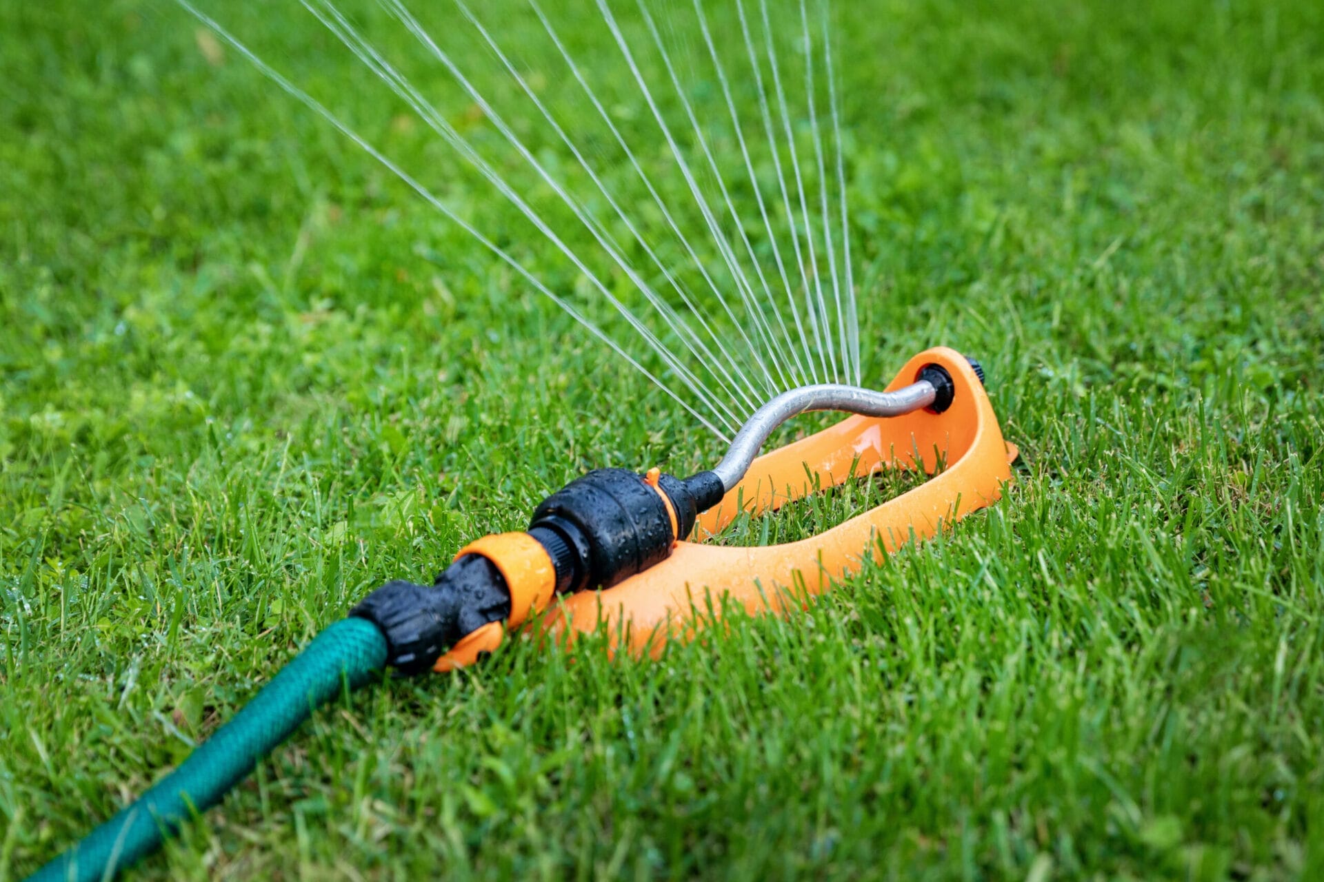 7 Best Sprinklers