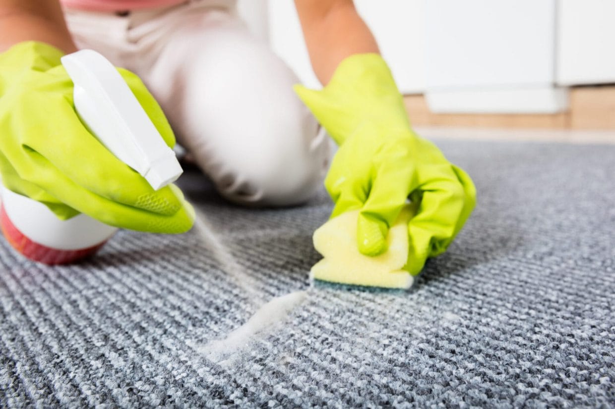 How To Get Stains Out of Carpet: Coffee, Dirt, & More