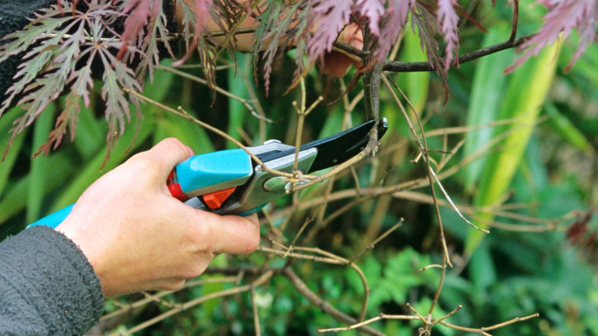 Checklist_0167994_tout