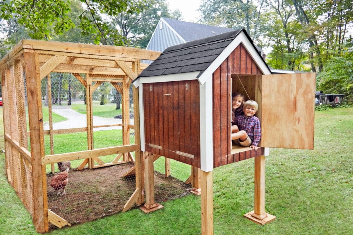How To Build a Chicken Coop