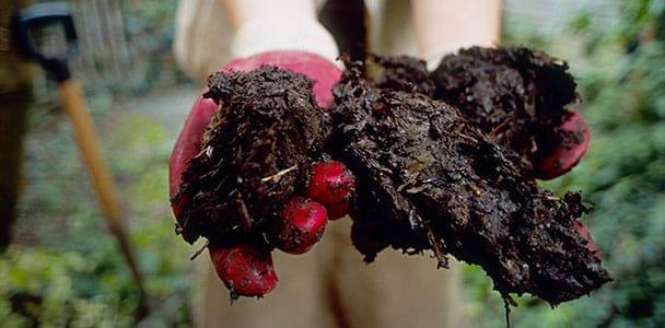 How To Quick Compost in 5 Easy Steps
