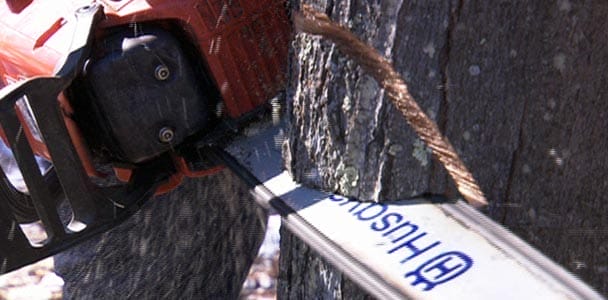 A chainsaw being used to cut through a tree