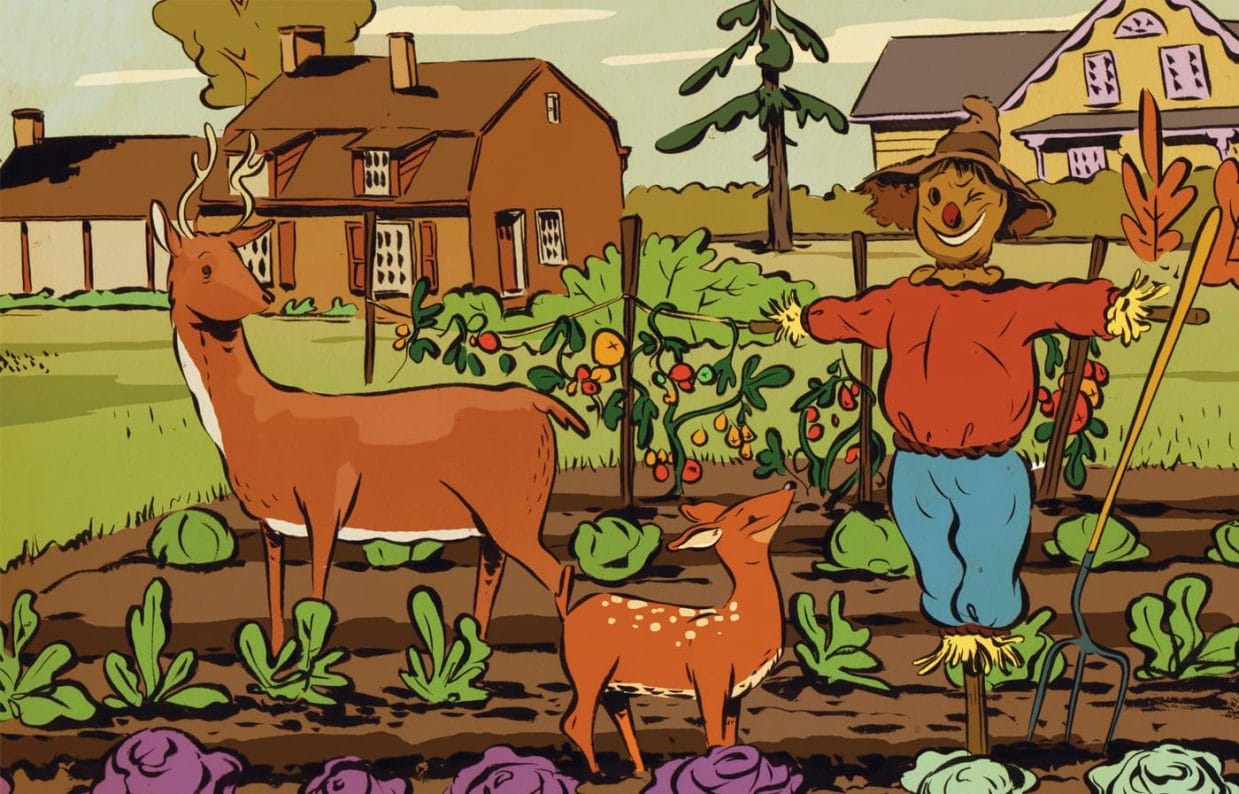 How To Keep Plant-Eating Animals Away From Your Garden