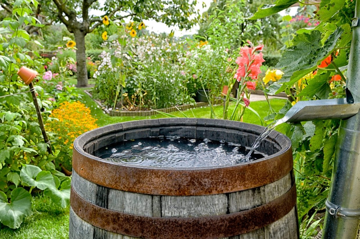 10 Drainage Solutions for Your Yard