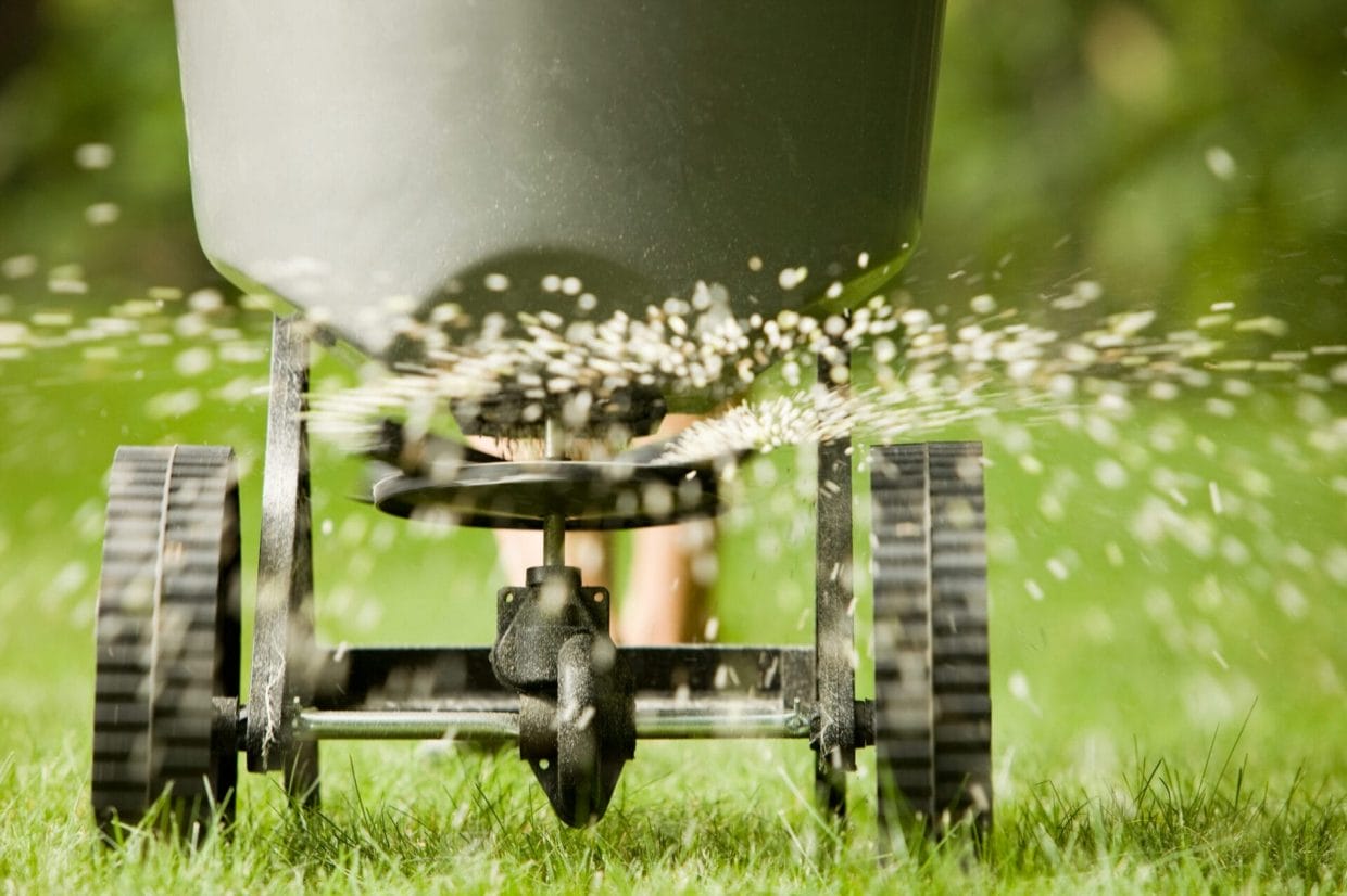Fall Fertilizing: Essential Tips To Help Your Yard Grow