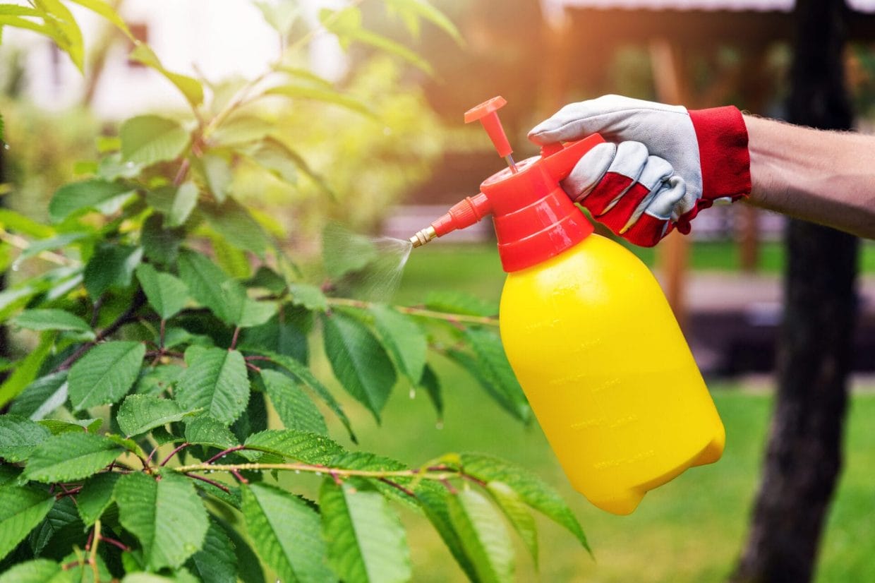 Best Chemical Sprayers