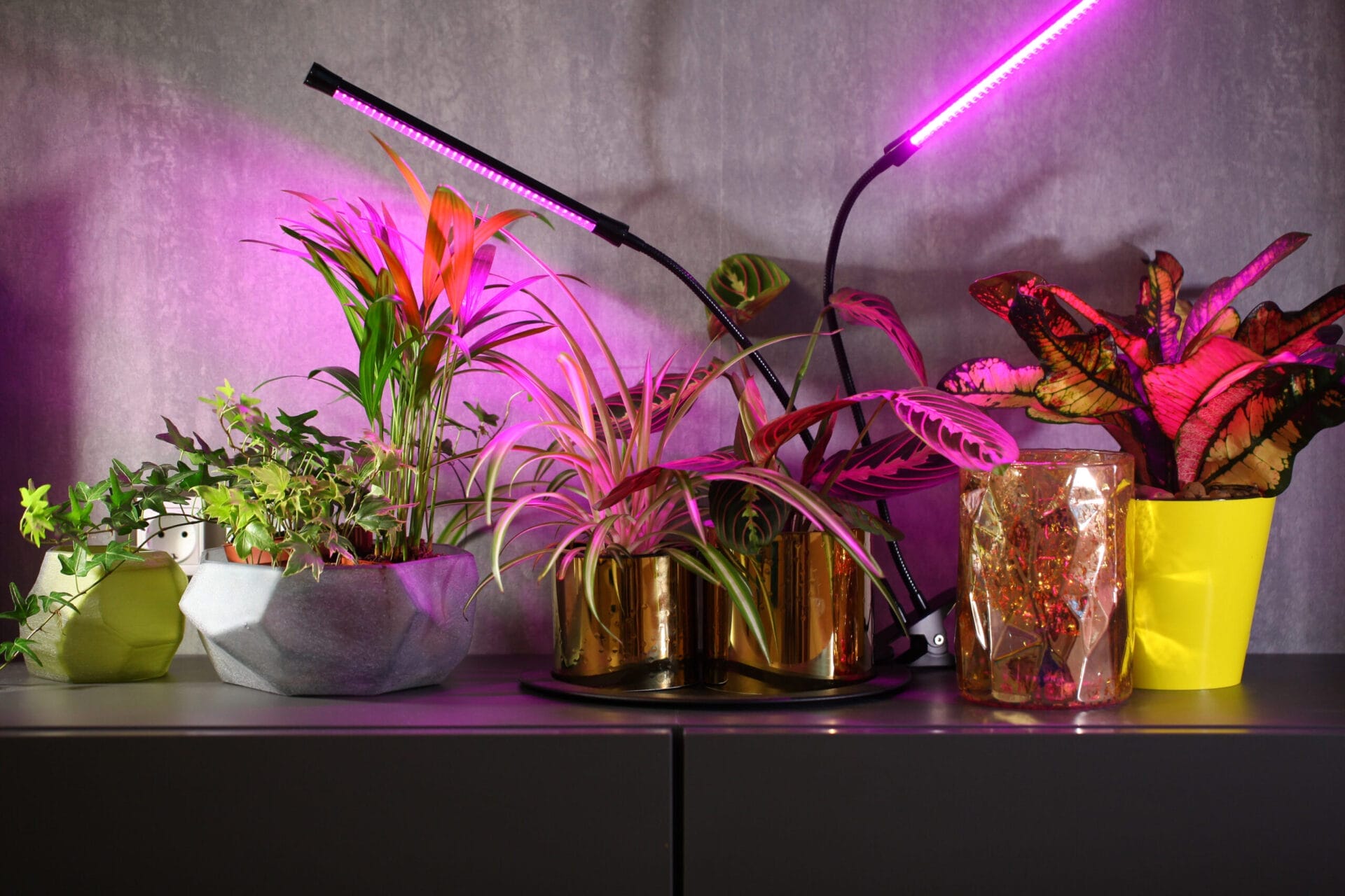 The 8 Best Grow Lights