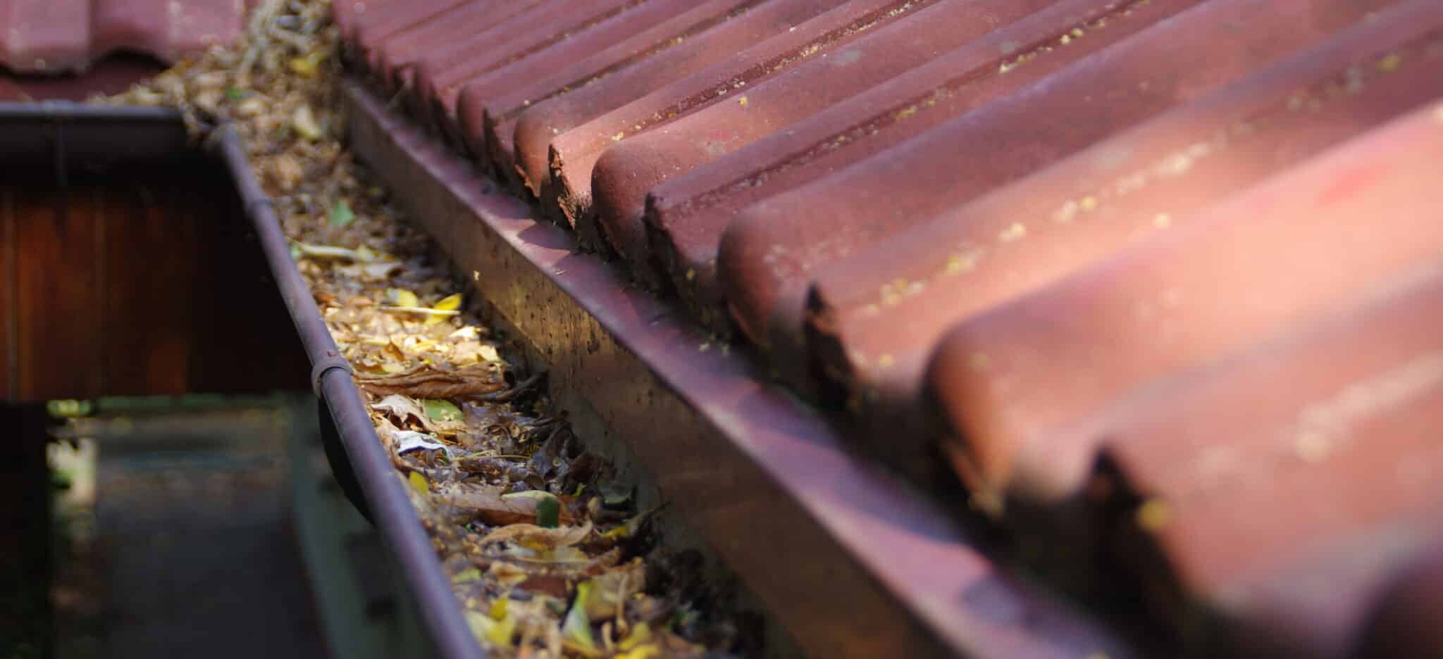 How Much Does Gutter Cleaning Cost?