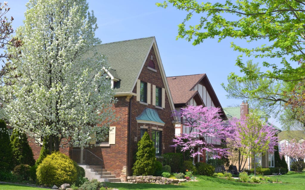 Liberty Home Guard Review