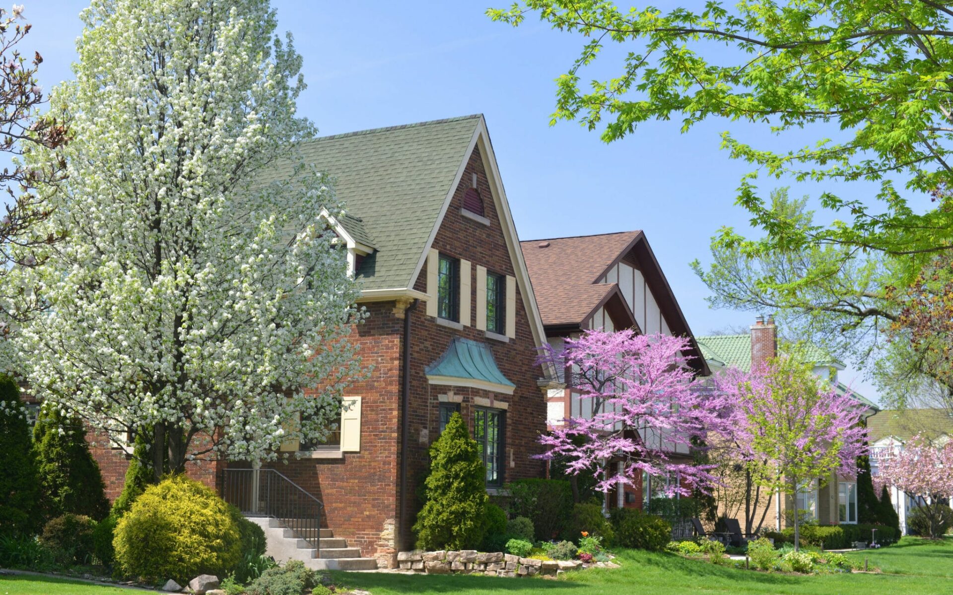 Liberty Home Guard Review