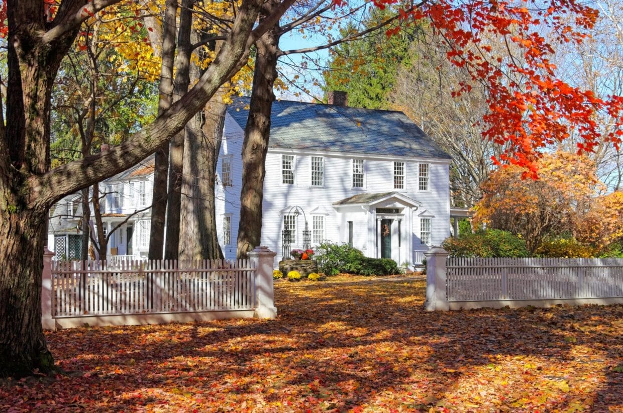 The Ultimate Guide To Collecting Fall Leaves
