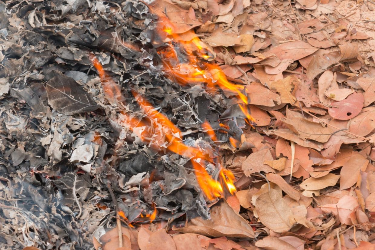 The Ultimate Guide to Burning Leaves: Safety, Alternatives, and Best Practices