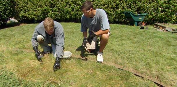 How To Keep a Lawn and Garden Beds Separate