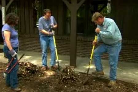 How To Clear Large Shrubs