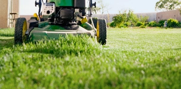 Six Lawn-Care Mistakes to Avoid