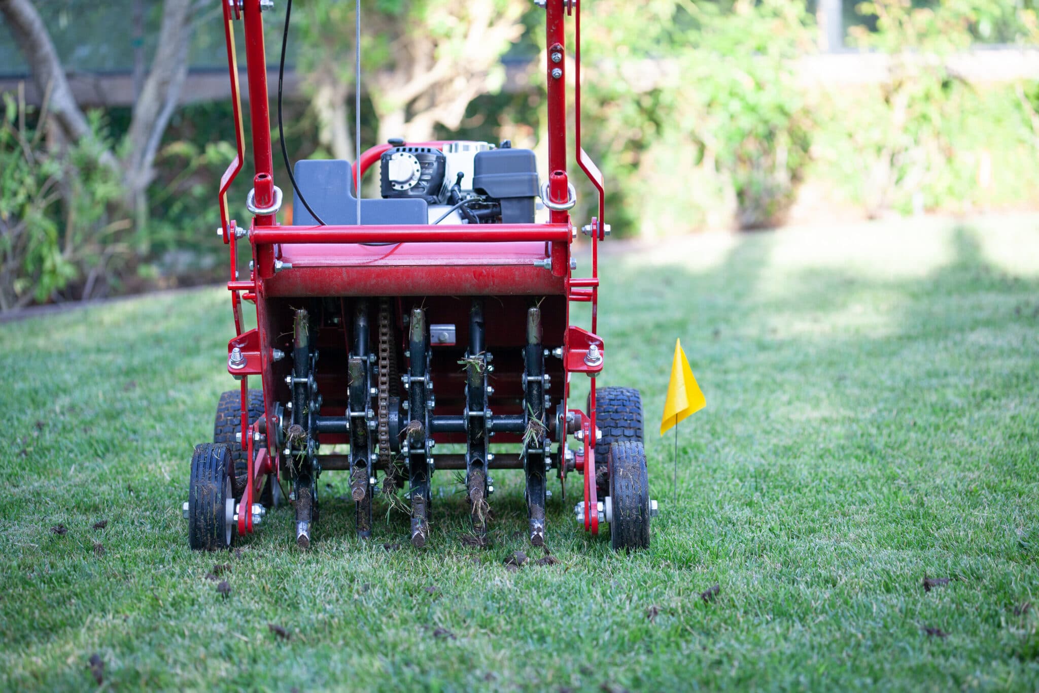 How Much Does Lawn Aeration Cost?