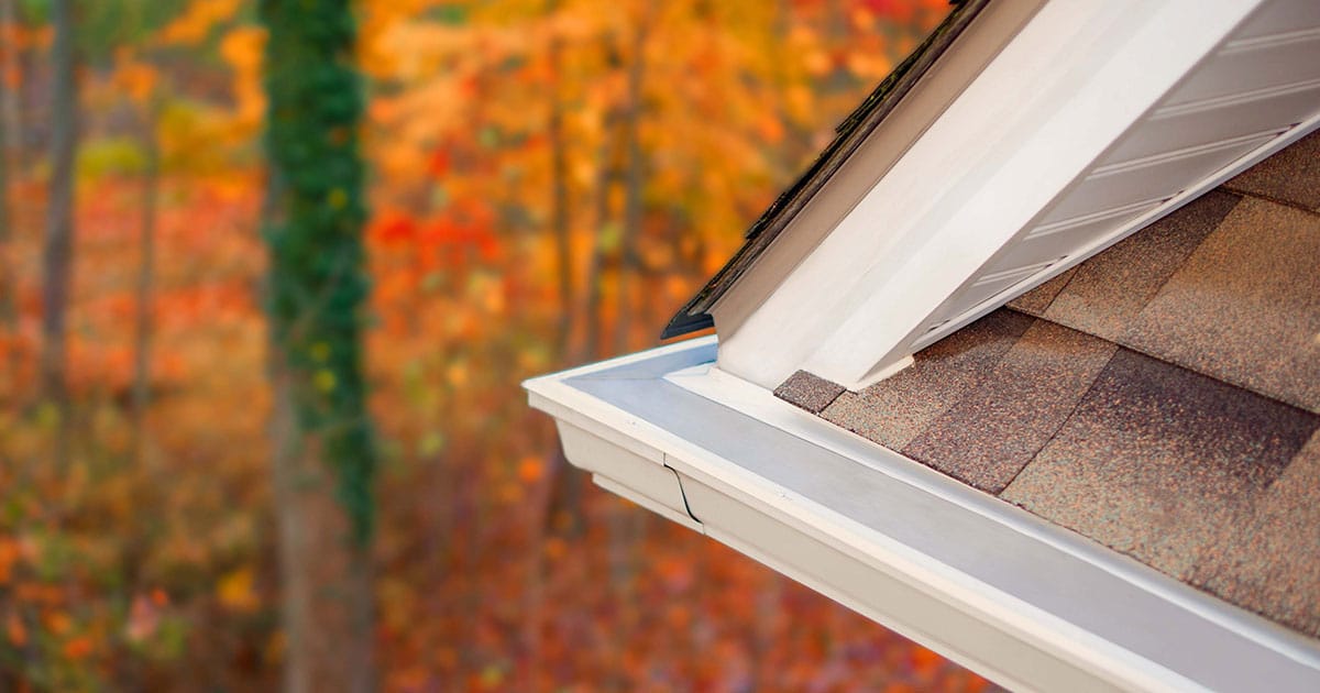 How Much Does LeafFilter Cost?