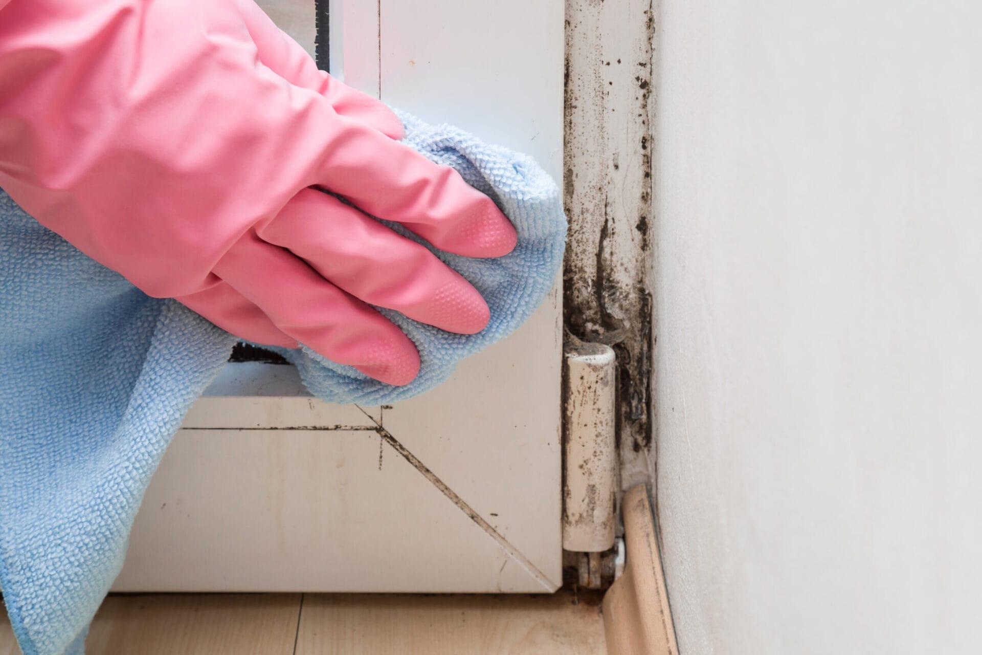 A person using a rag to clean mold from a door.