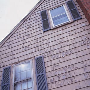 Why Is My Paint Peeling?