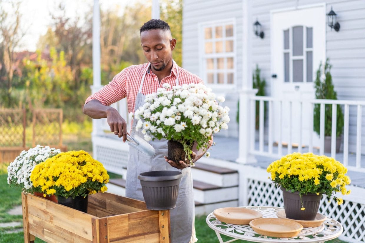 The 5 Best Raised Garden Beds