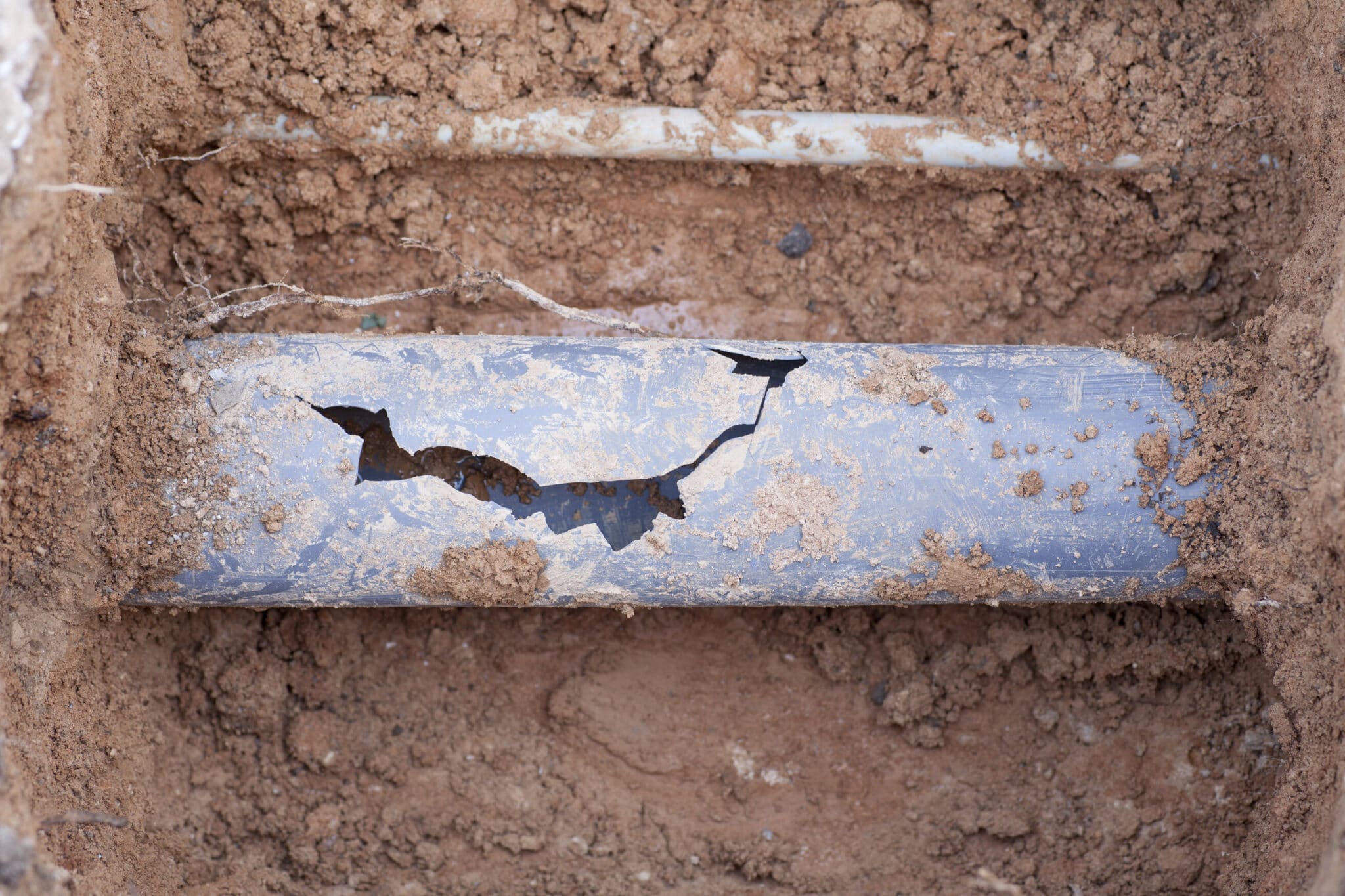 Best Home Warranties for Sewer Lines