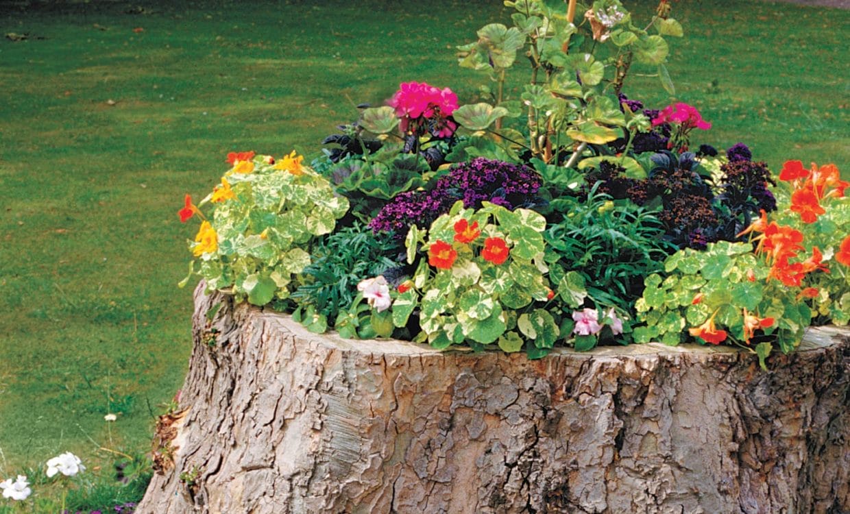 How To Create a Tree-Stump Planter
