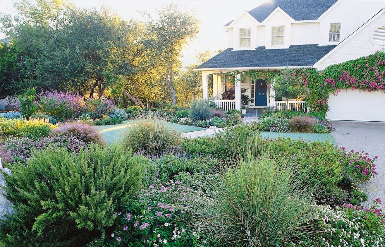 Lawn-Less Yard Design Ideas