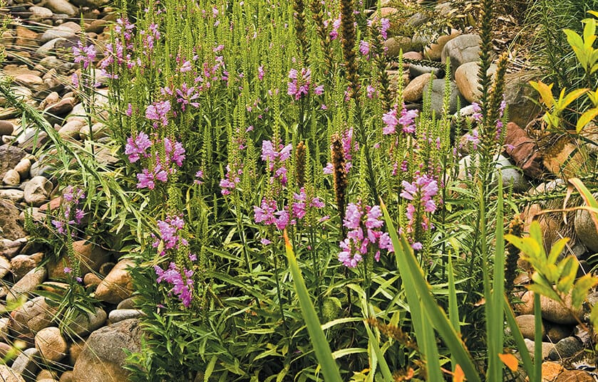 How to Create a Drainage Swale