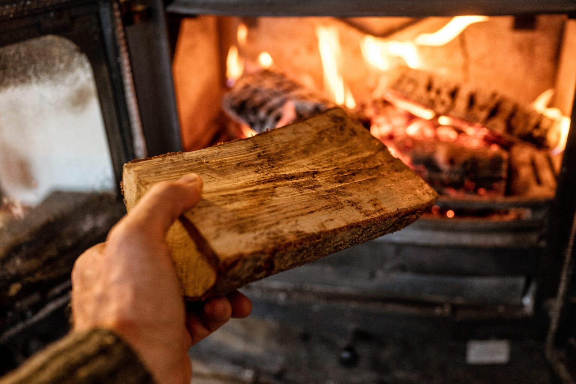 Wood_iStock_1166217984