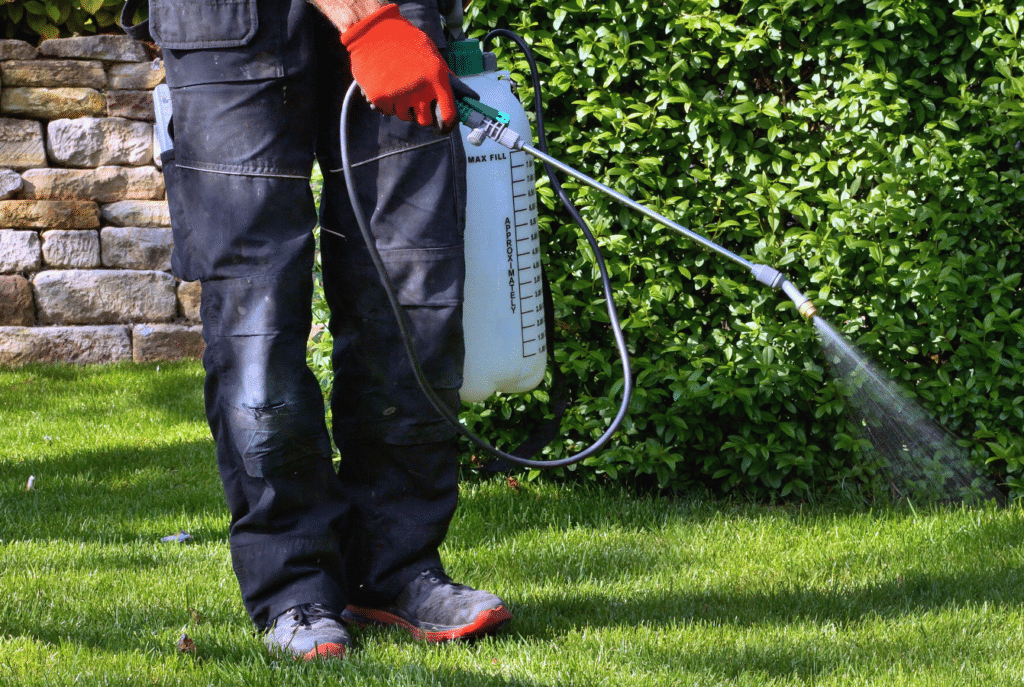 Types of Pest Control Methods